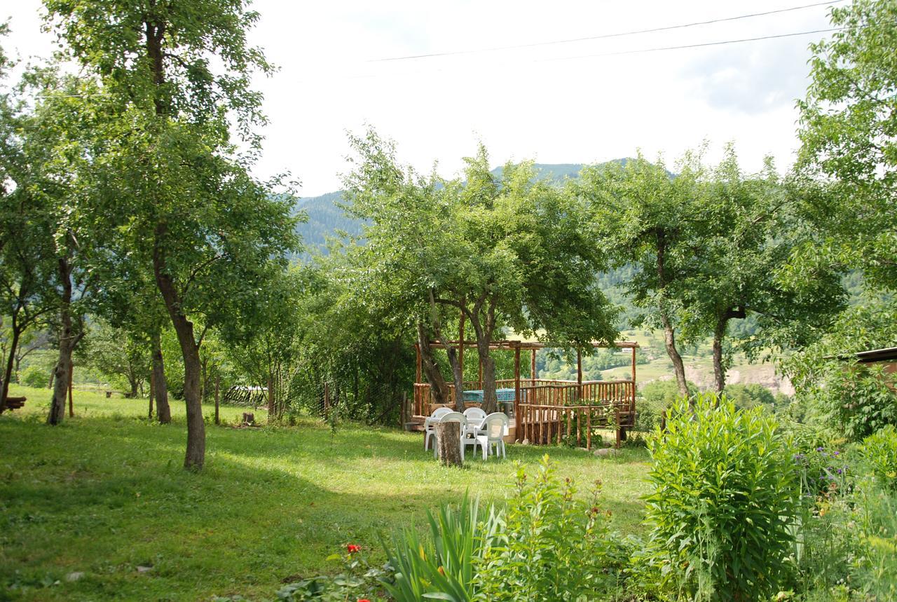 Laila Guest House Mestia Exterior photo